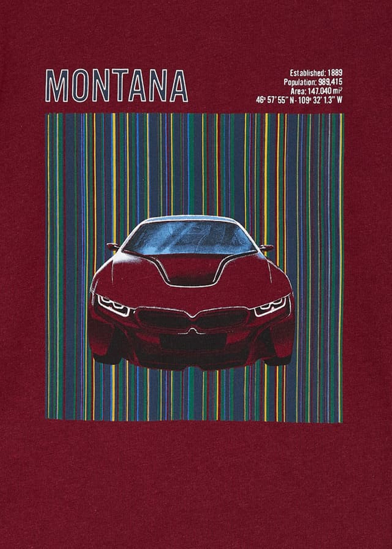 Koszulka d/r nadruk samochód